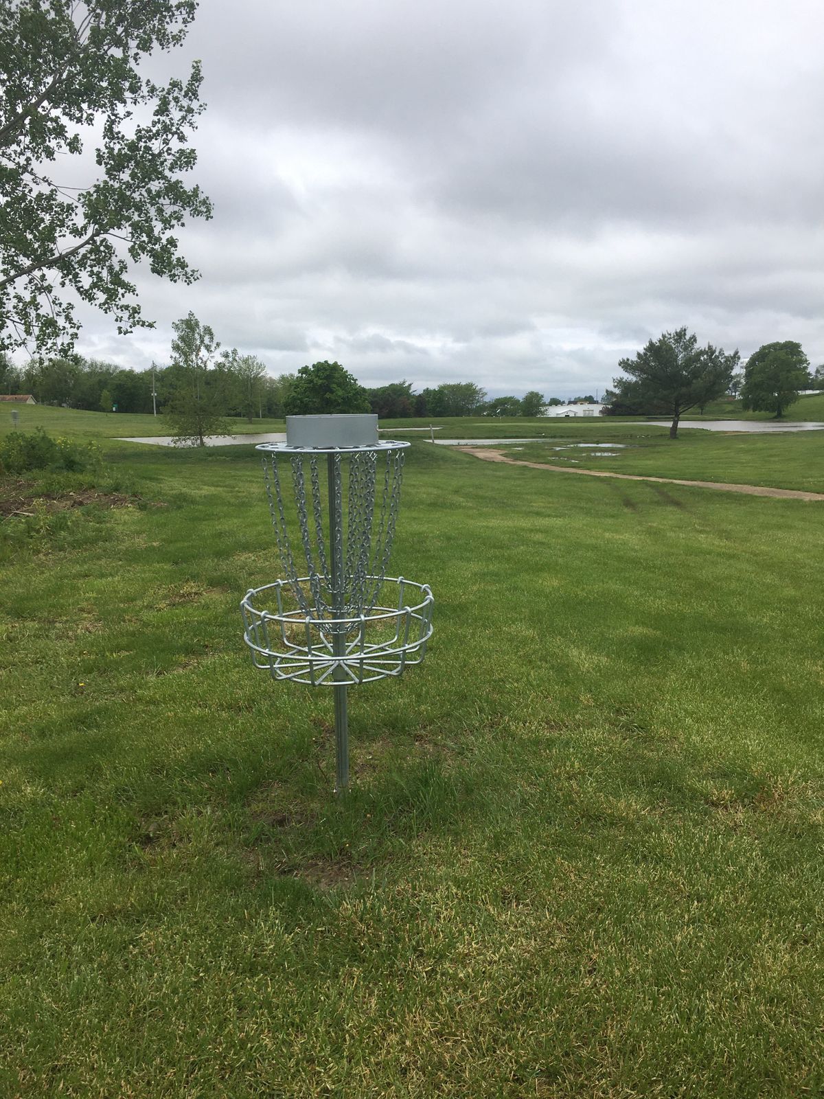 Hole 17 basket