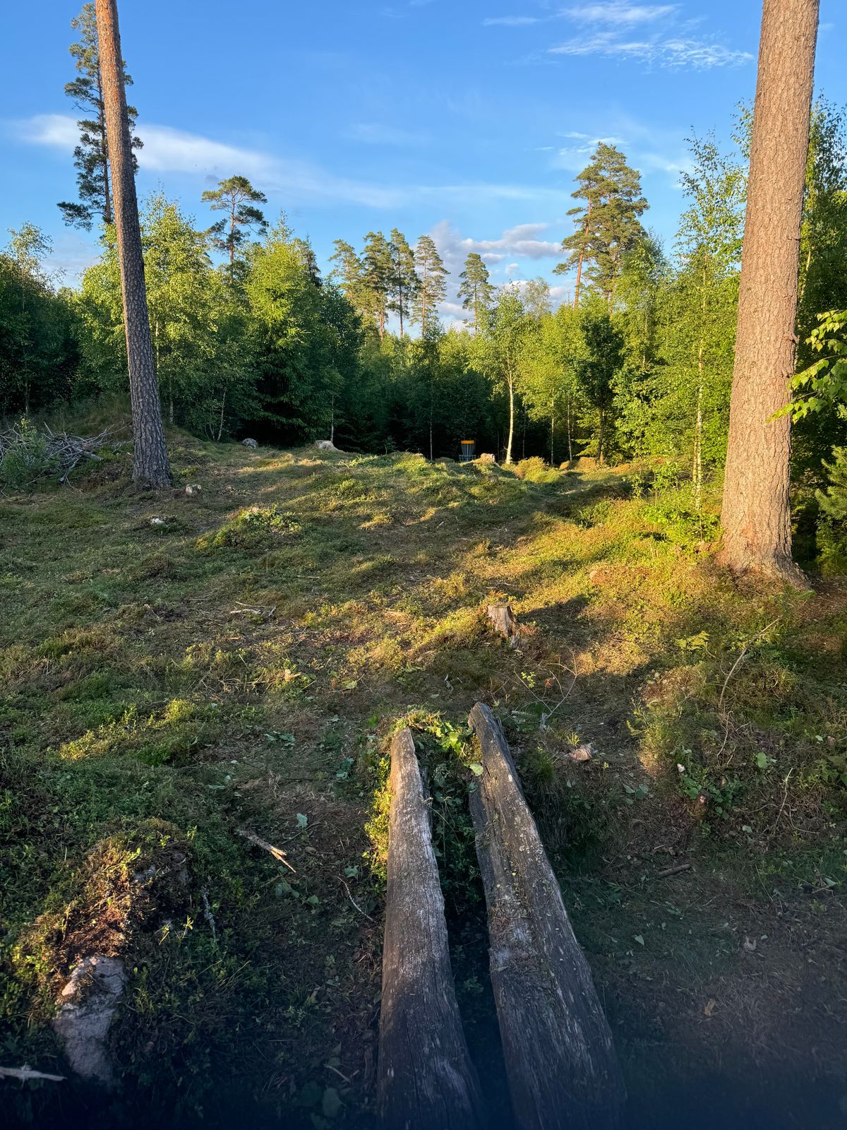 Hål 14