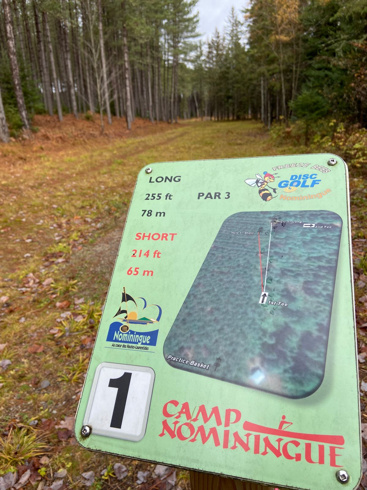 Tee 1