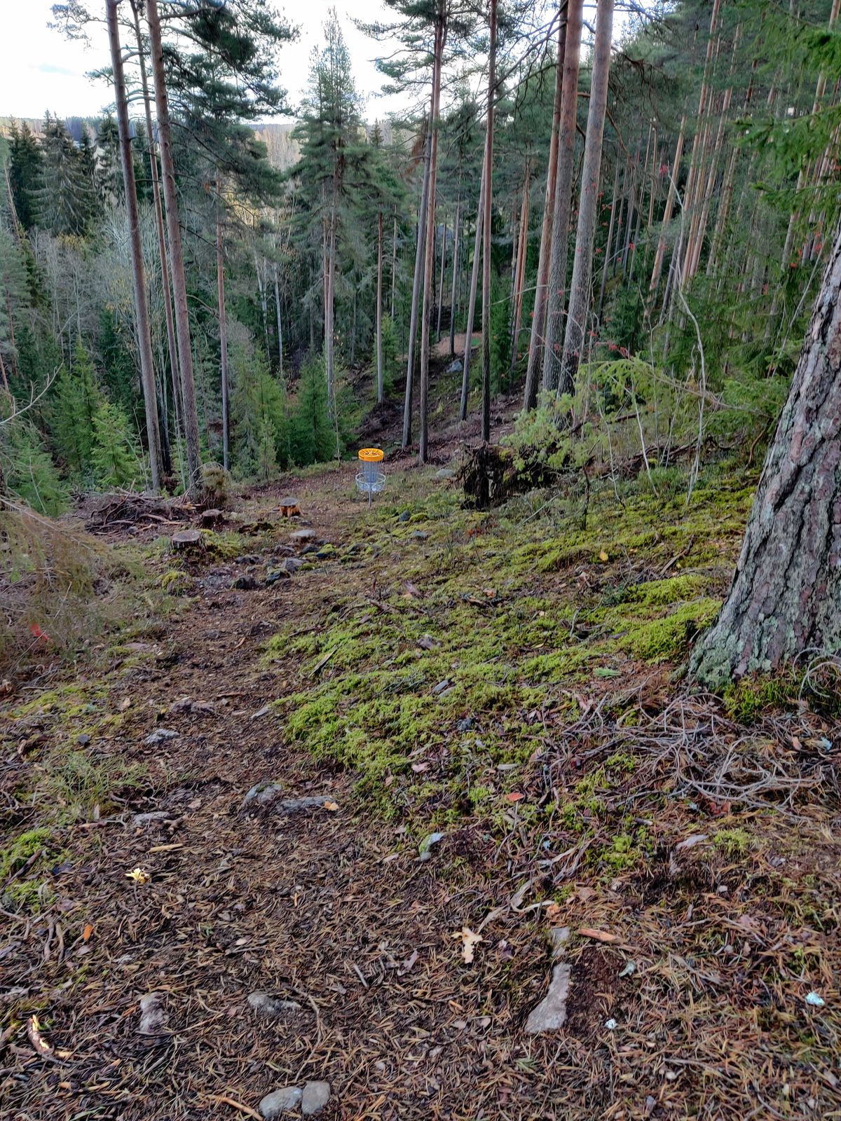 Väylä 7