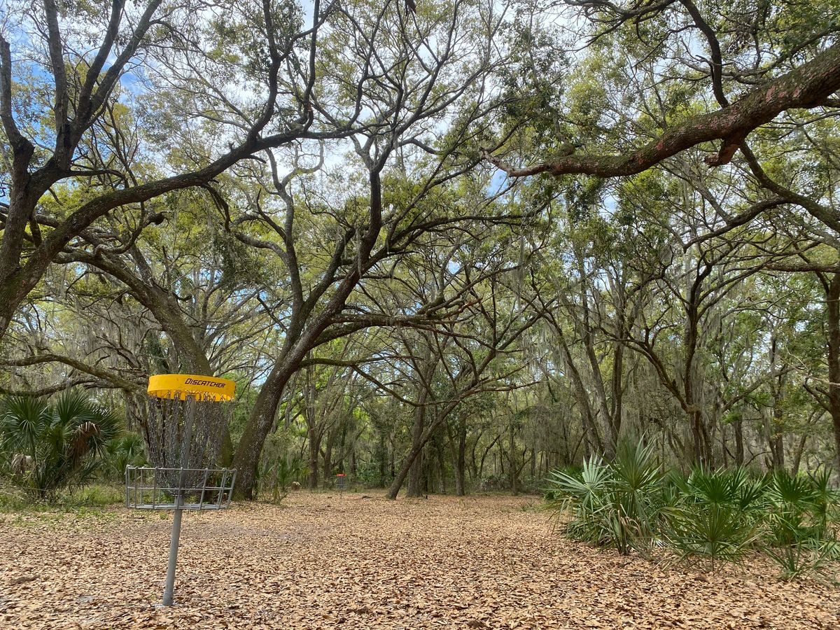 Hole 8 Gold Basket looking back.