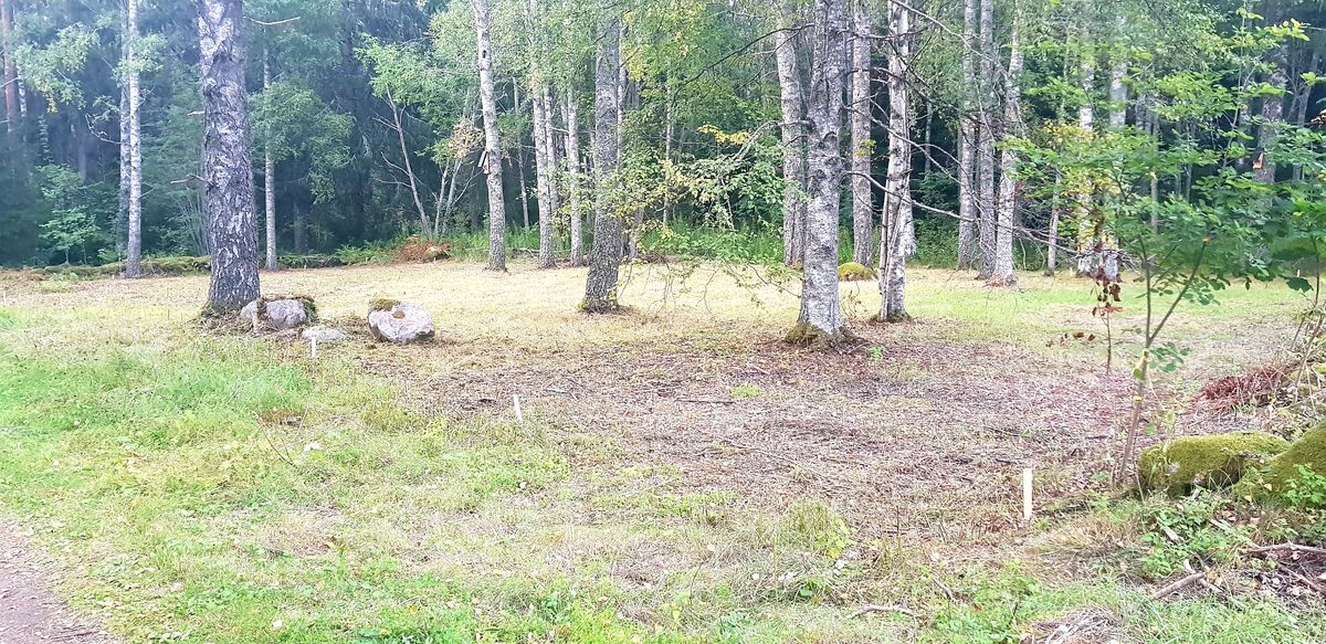 Hål 10 hazardområde , tee ligger i överkant bild på den andra sidan av stenmuren