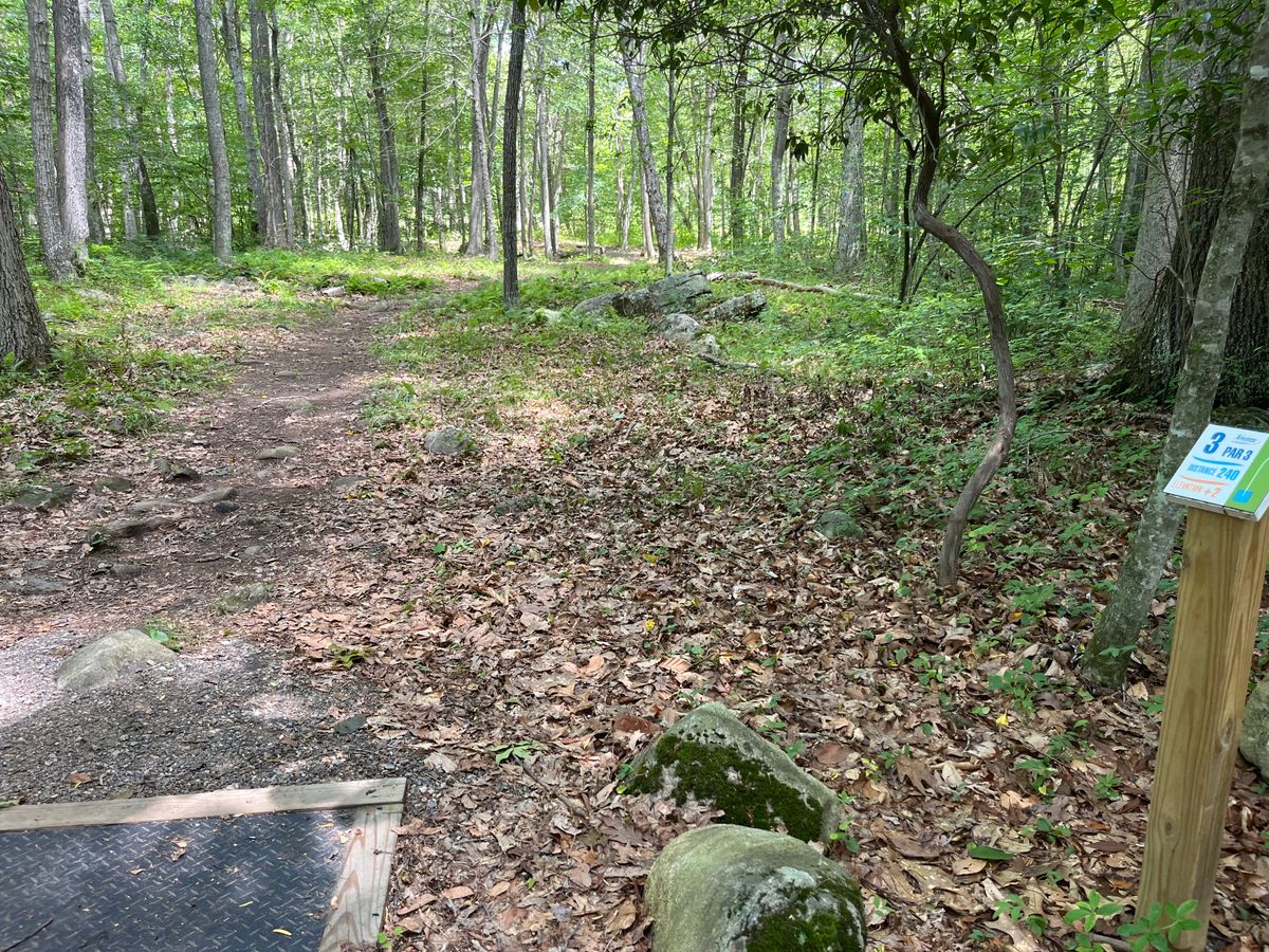 Hole 3