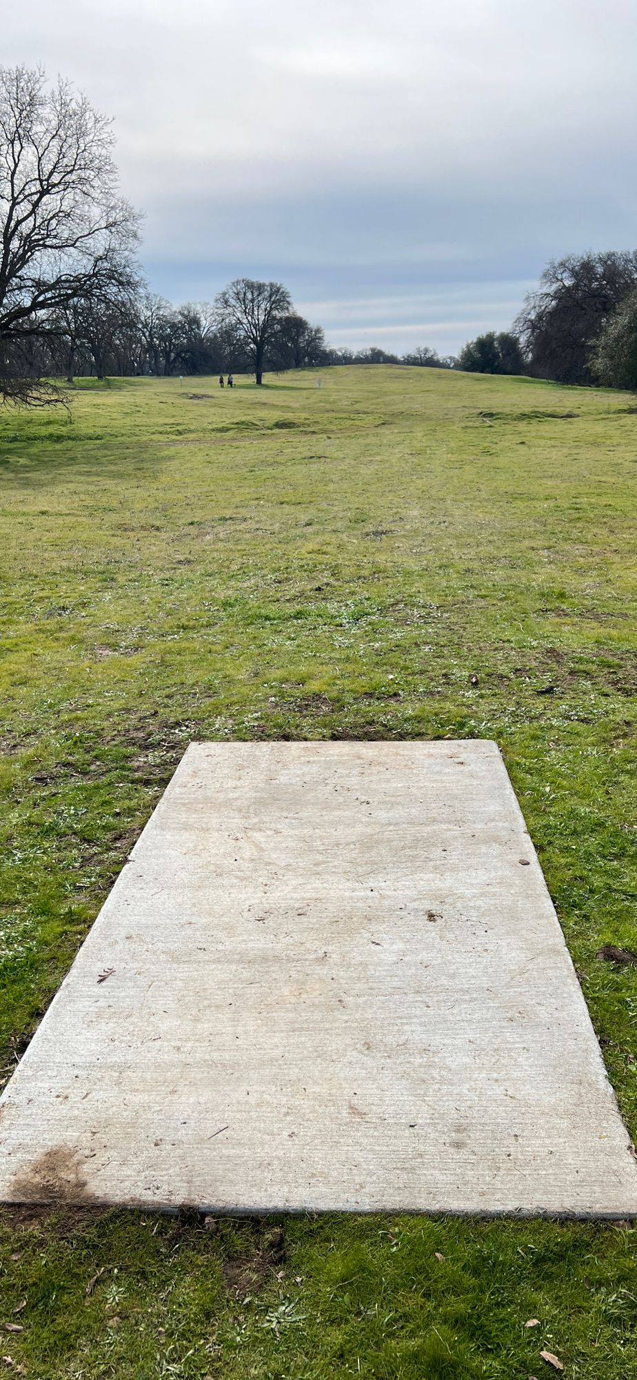 Hole 6