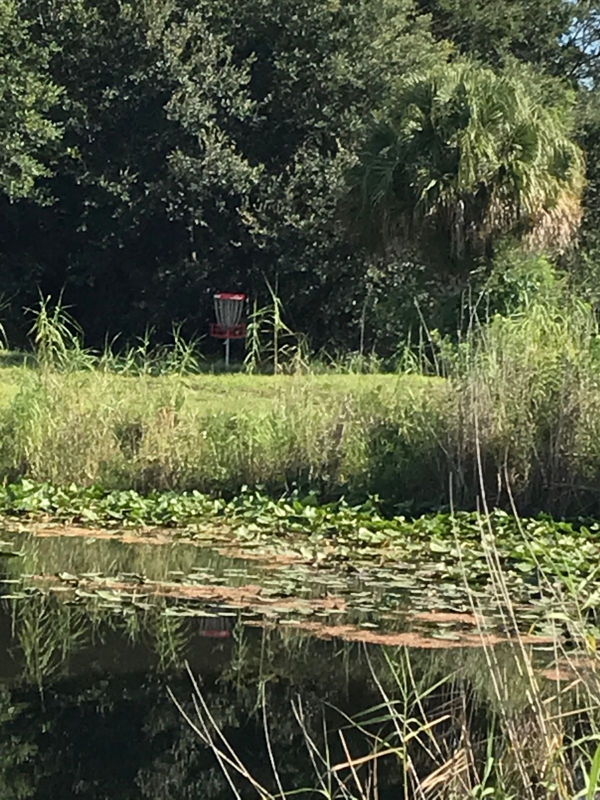 #14 from short tee pad