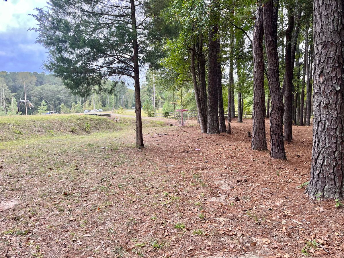 Hole 3 Basket