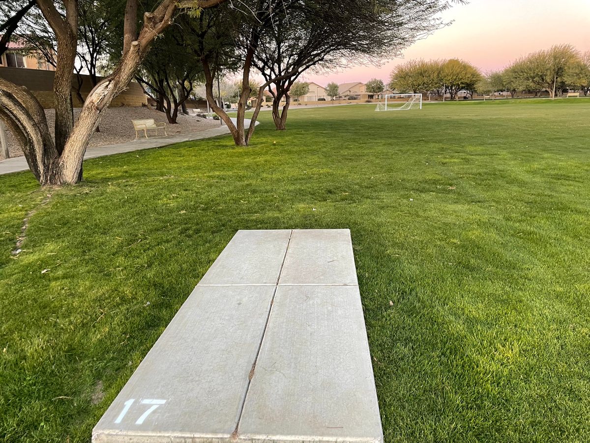 Hole 17: Mando right of trees. This is my favorite hole. Basket follows curve to left