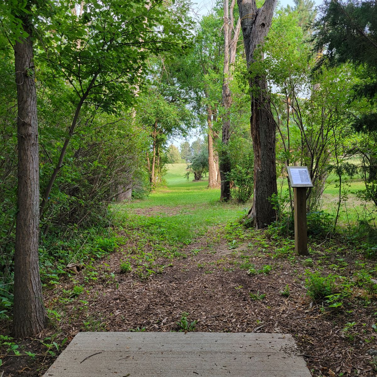 Hole 6 tee box