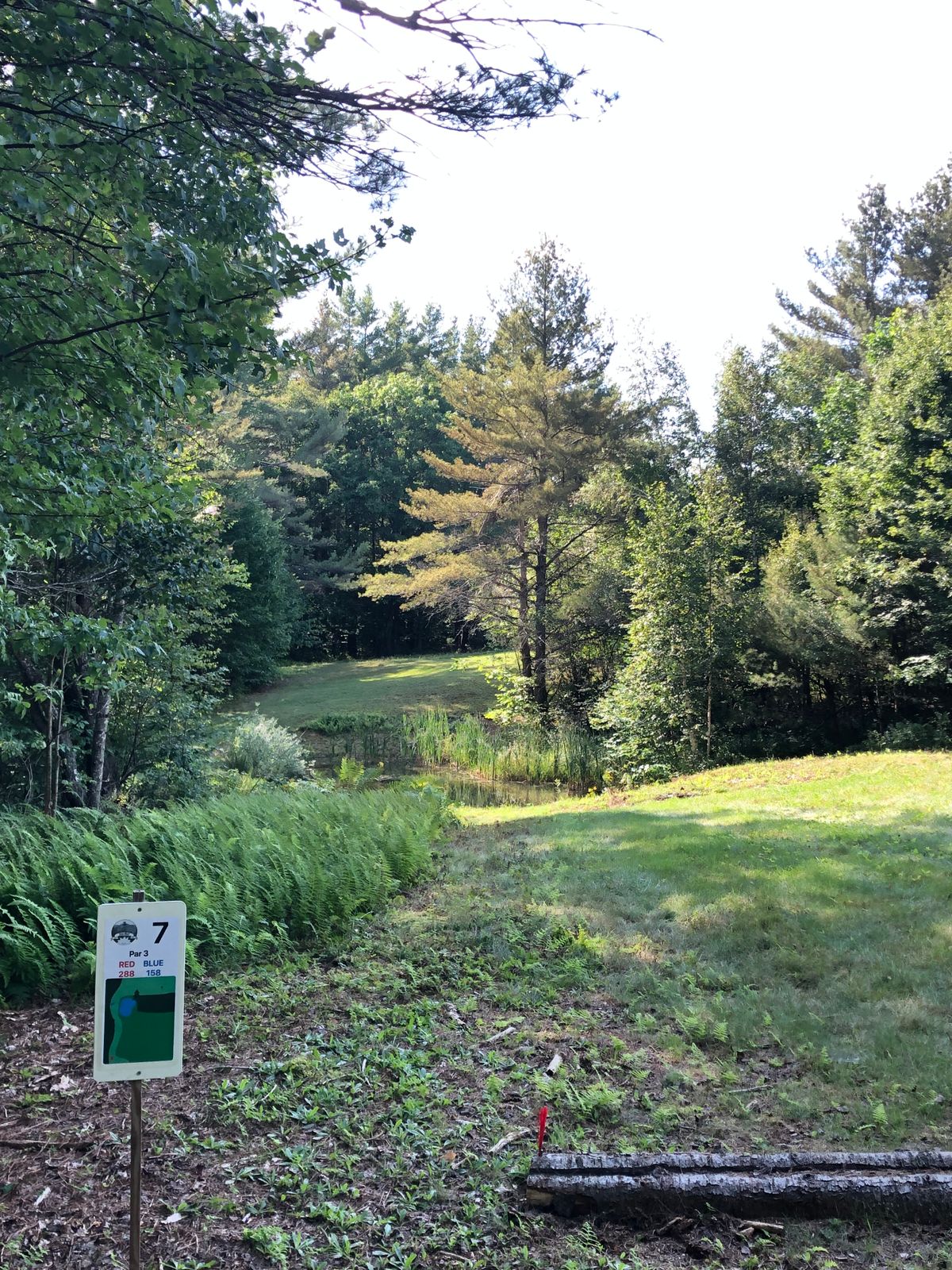 7 Tee