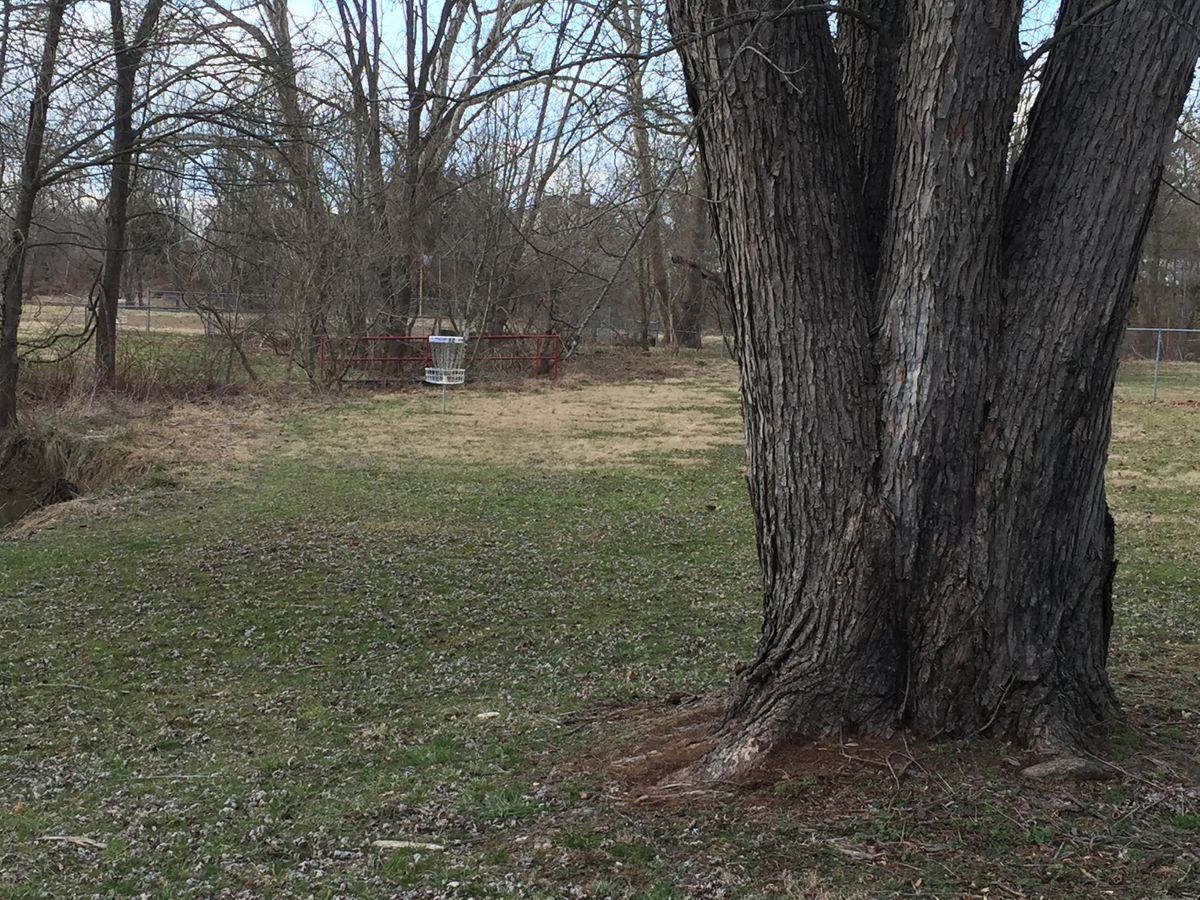 Hole 12 - fade right