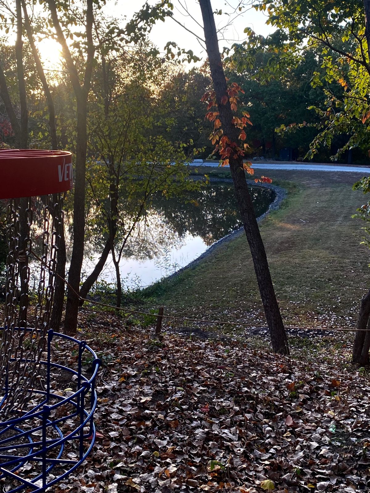 Hole #5 Basket to tee pad over corner of pond.
