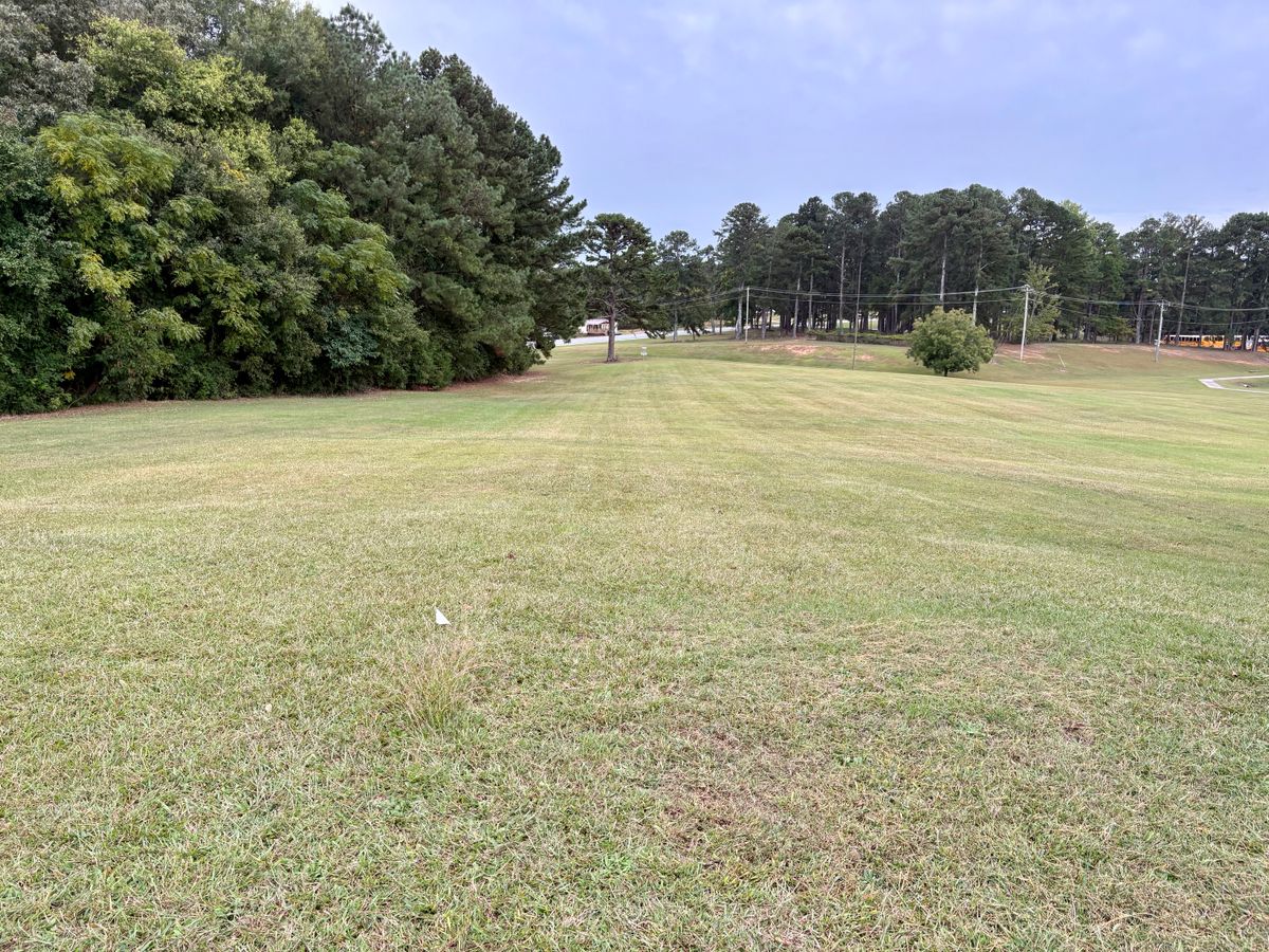 Hole 4 tee