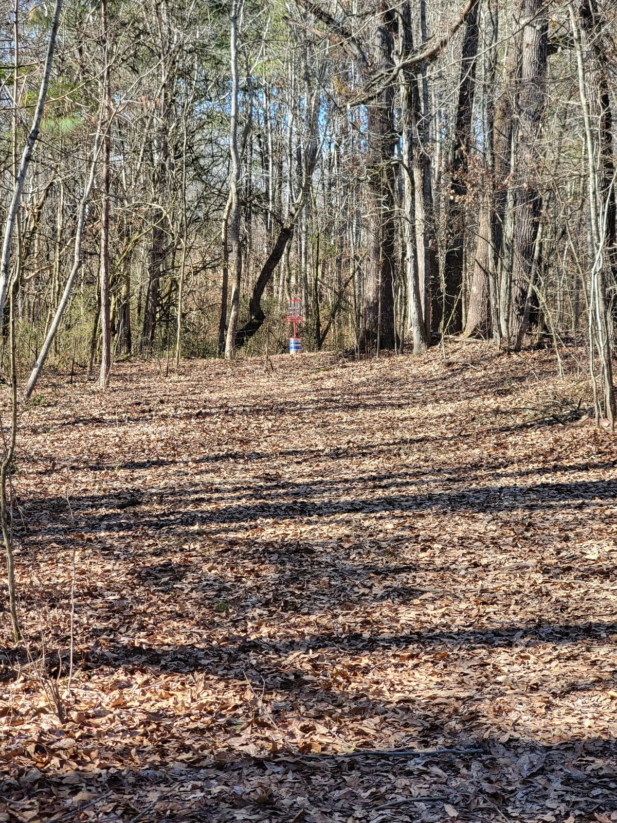 Hole 10 from the fairway 