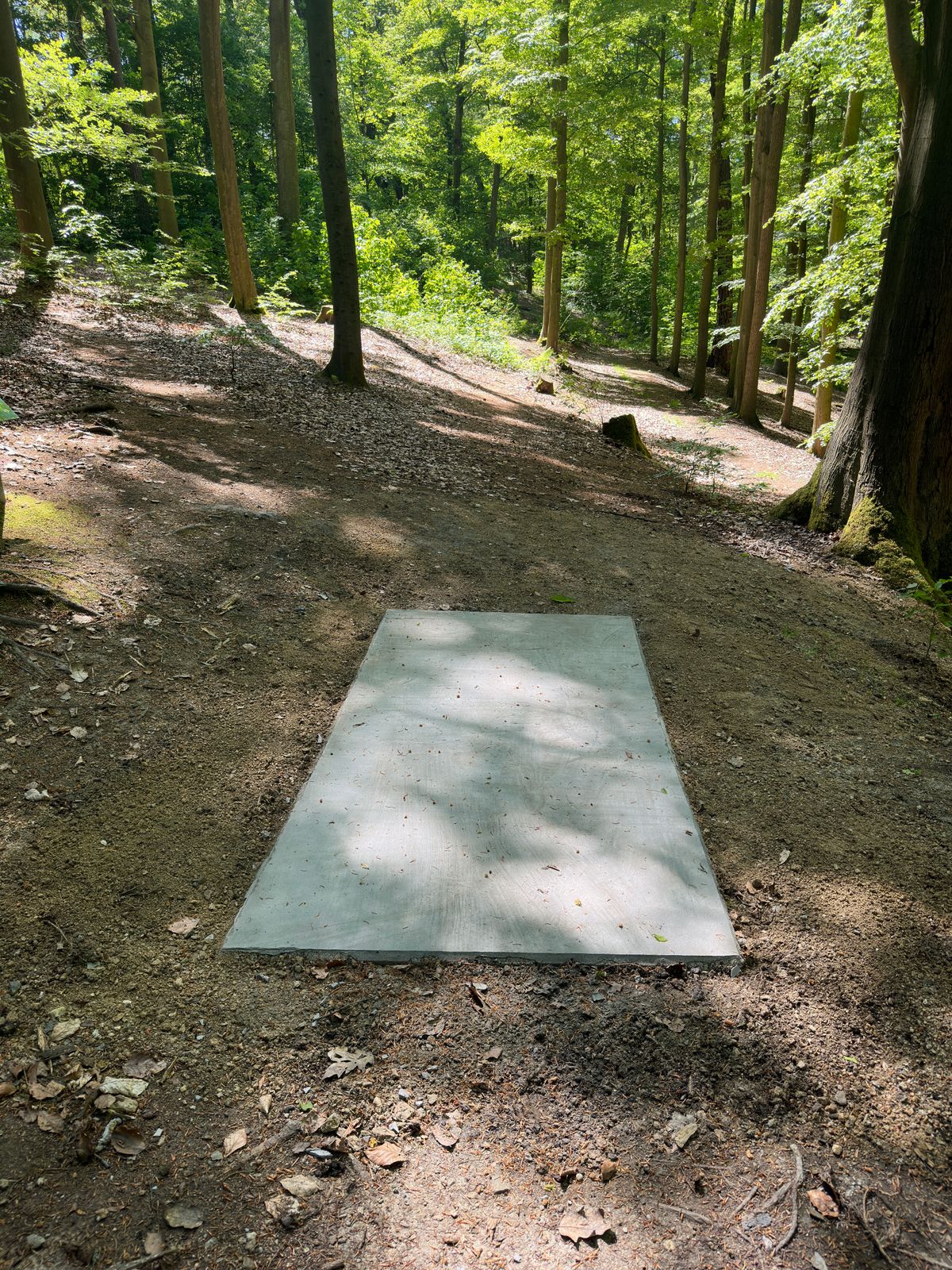 Hole 7