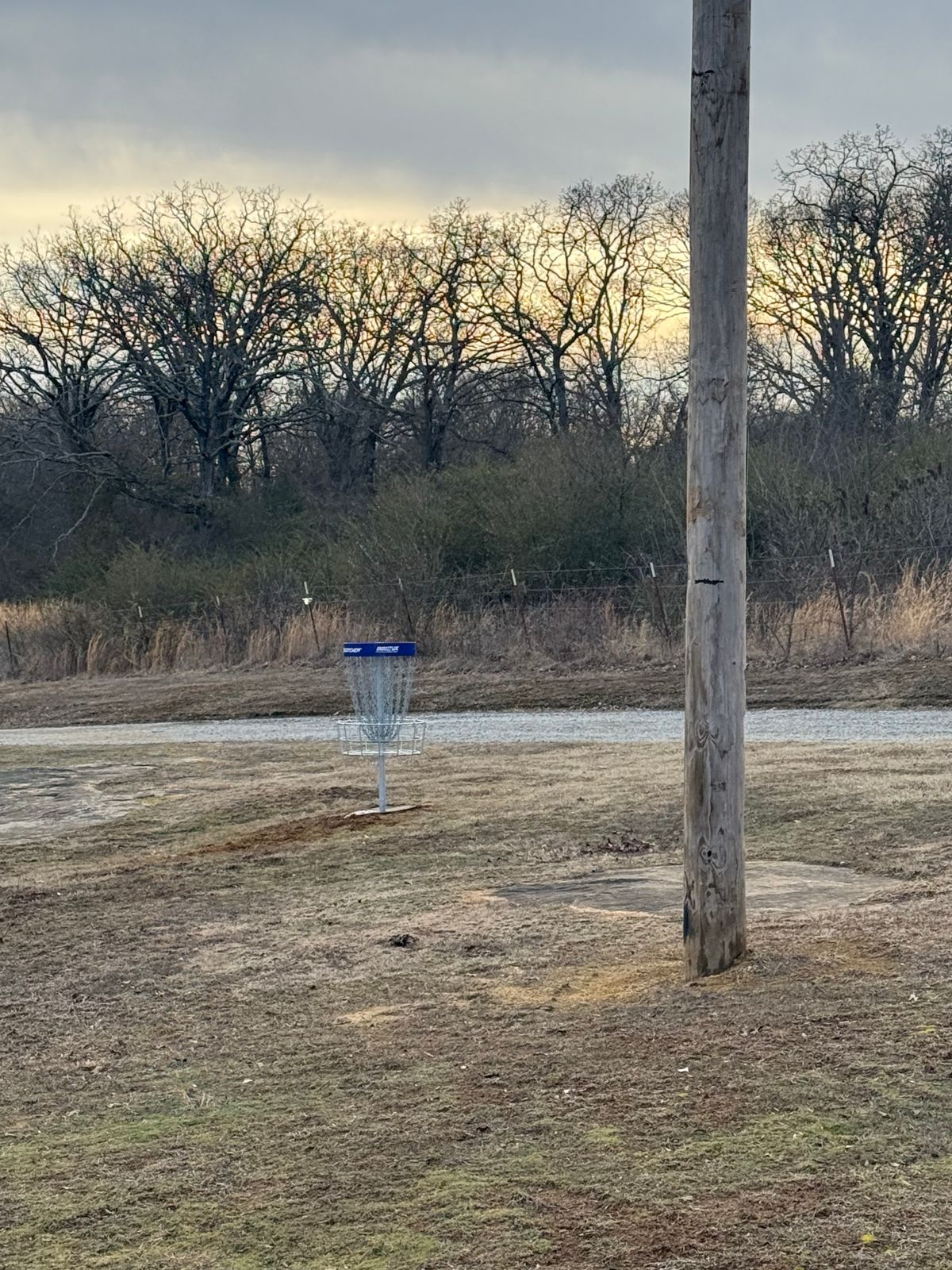 Hole 4 (Longs) Basket