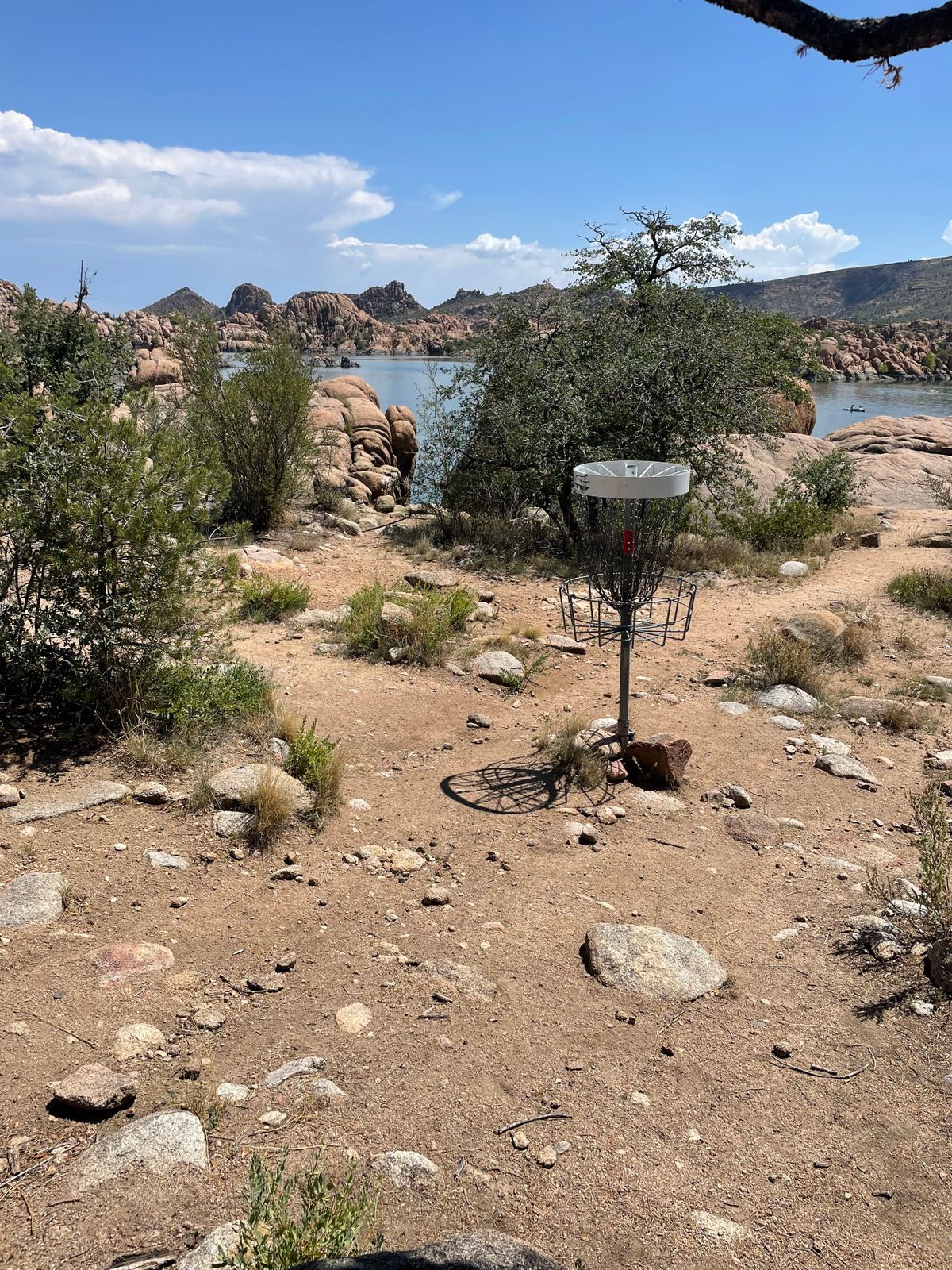 5 straight down the trail
