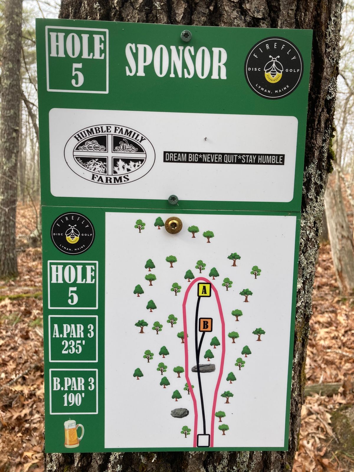 Hole 5