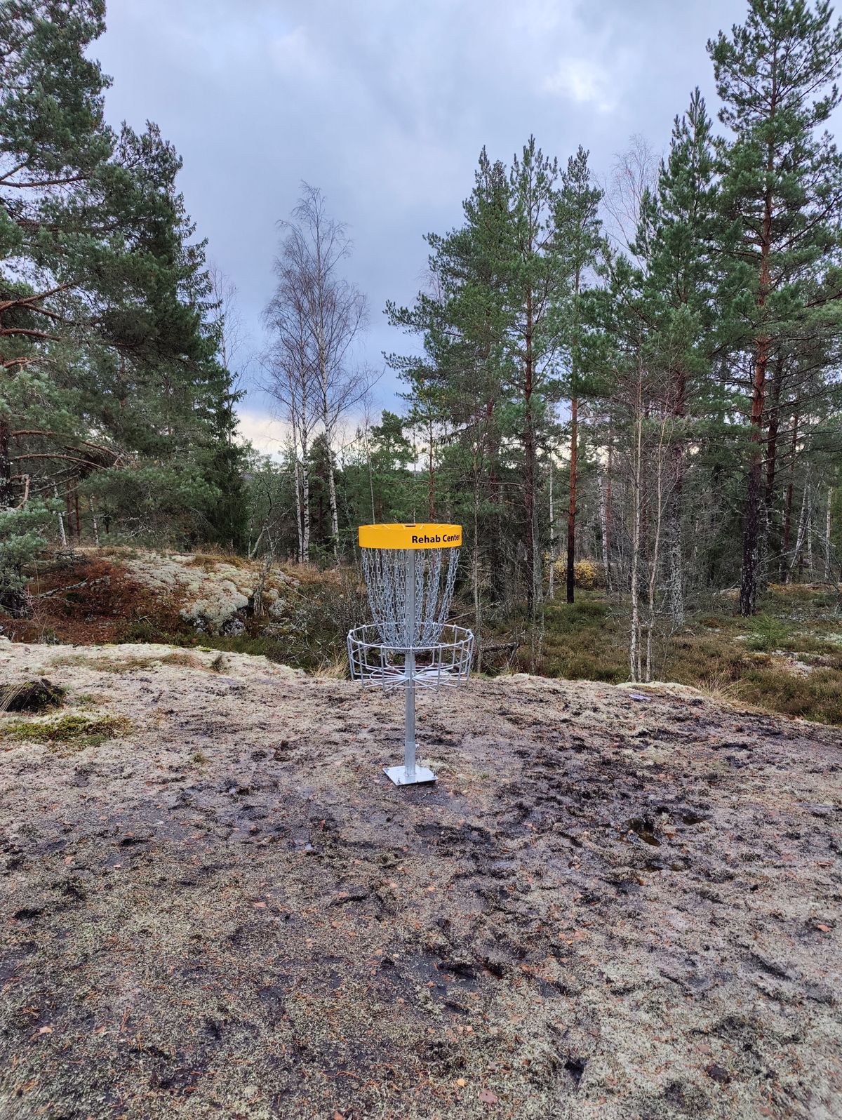 2 väylän kori