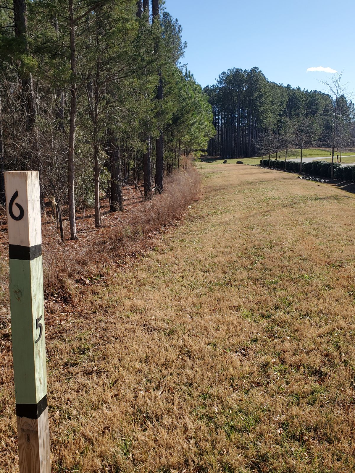 Hole 6