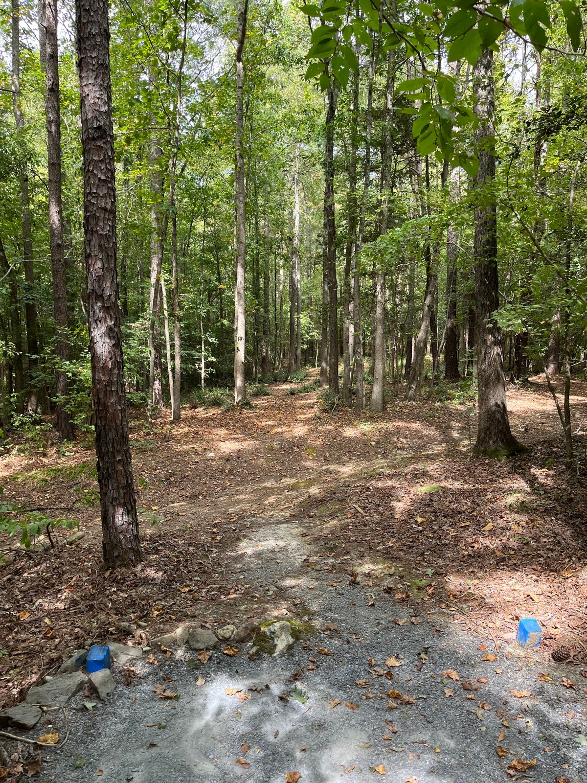 Hole 14: blue tee