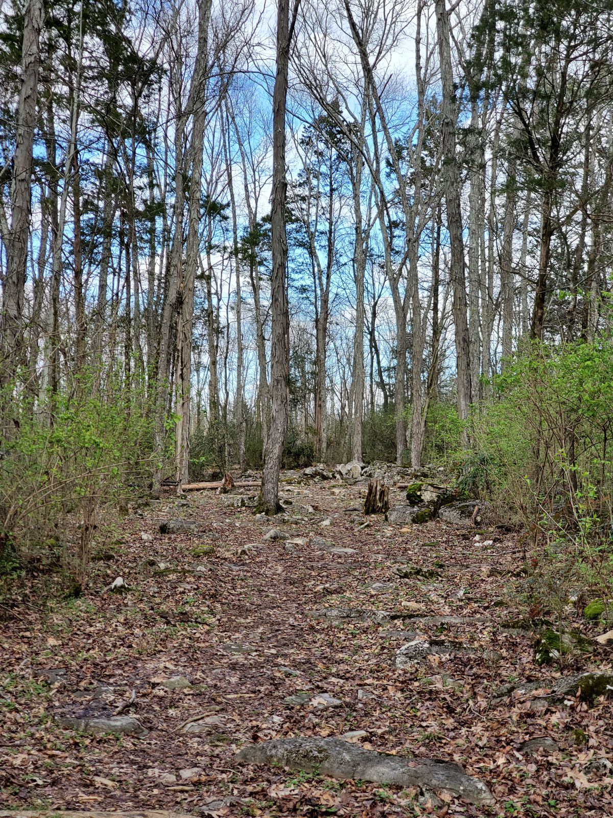 Photo from Teebox