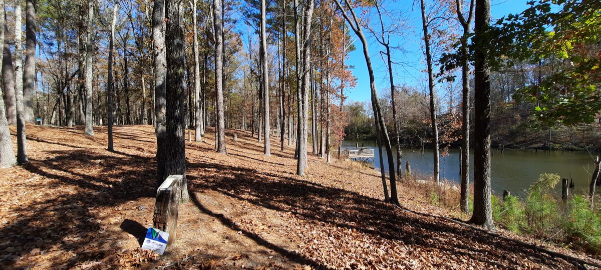 Hole 14.