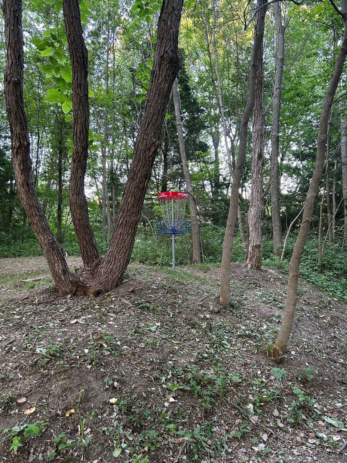 Hole #13 look in through guardians to B basket