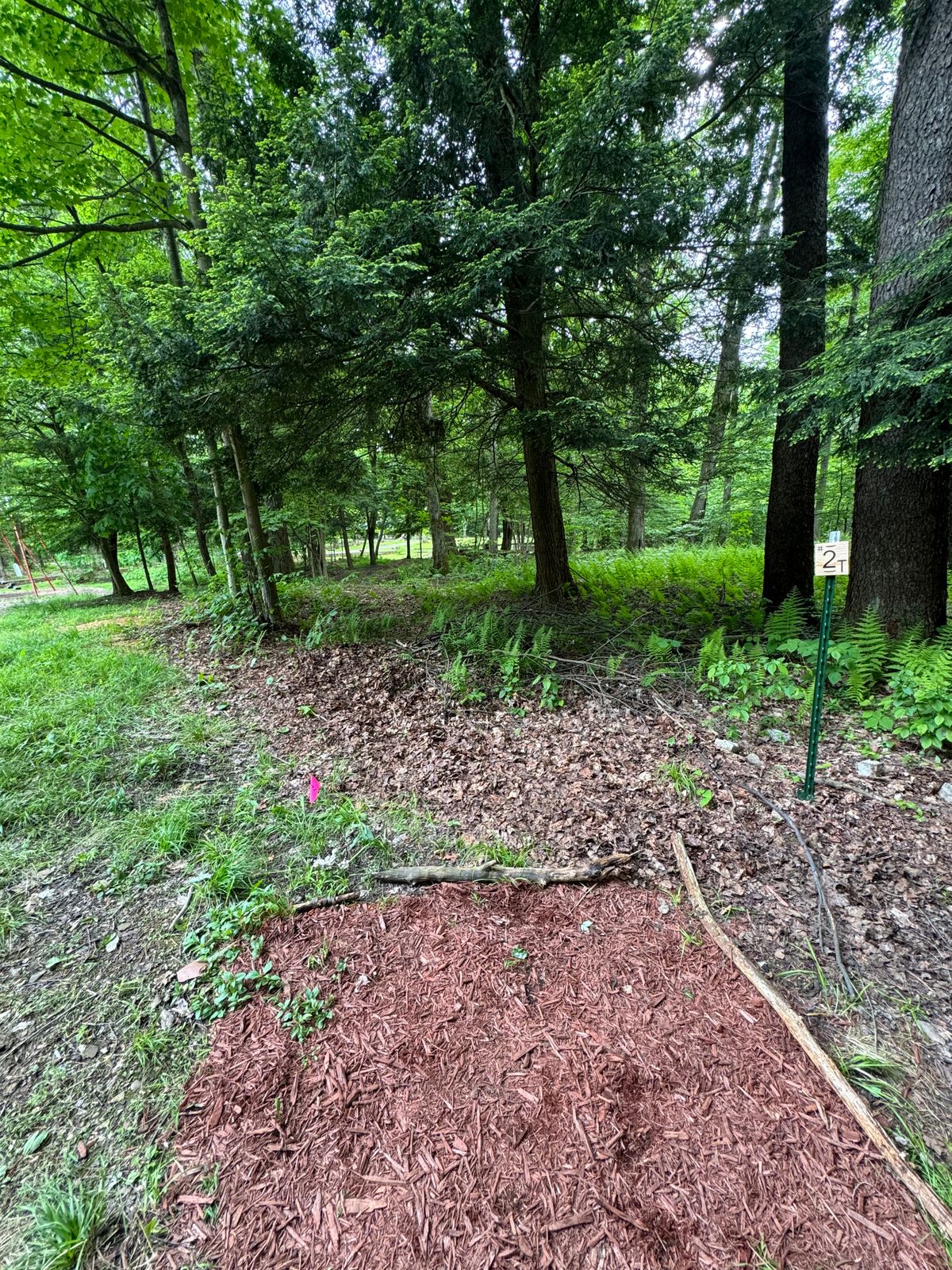 Hole 2 tee. Tight fairway, but good for some solid ace runs.