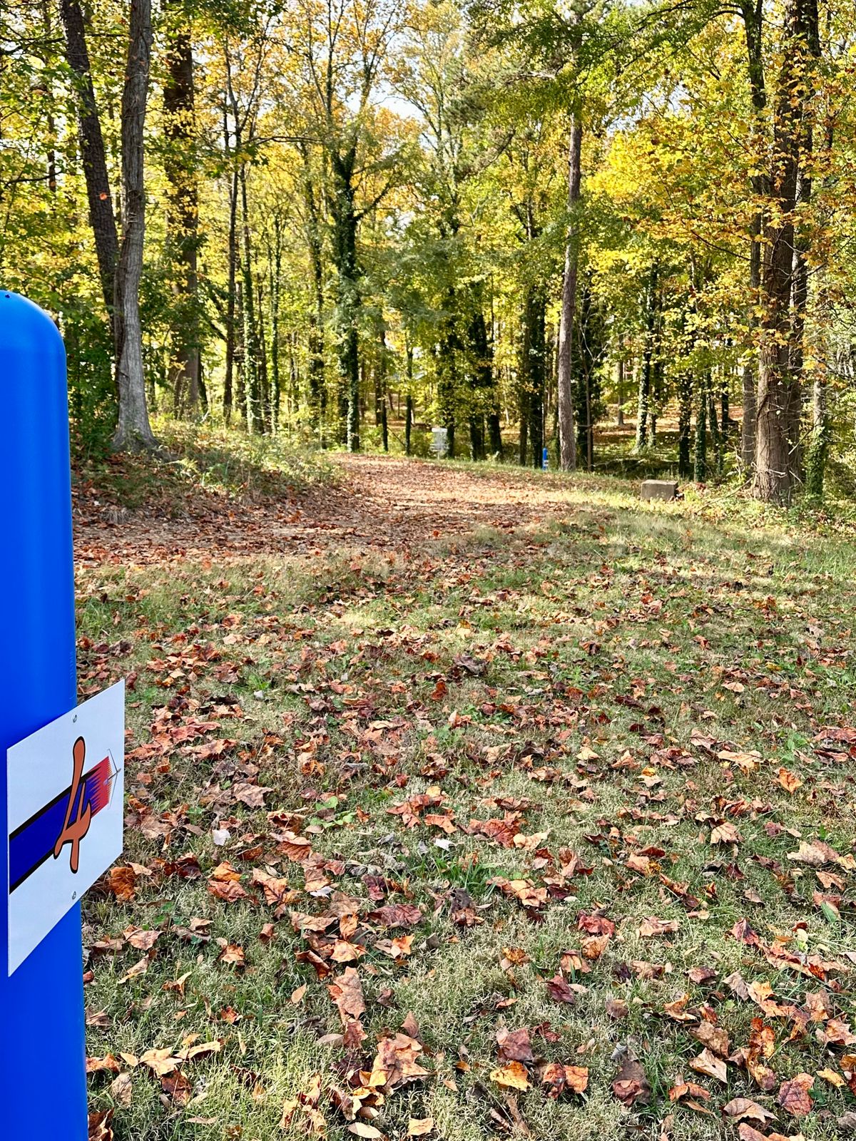 Hole 4