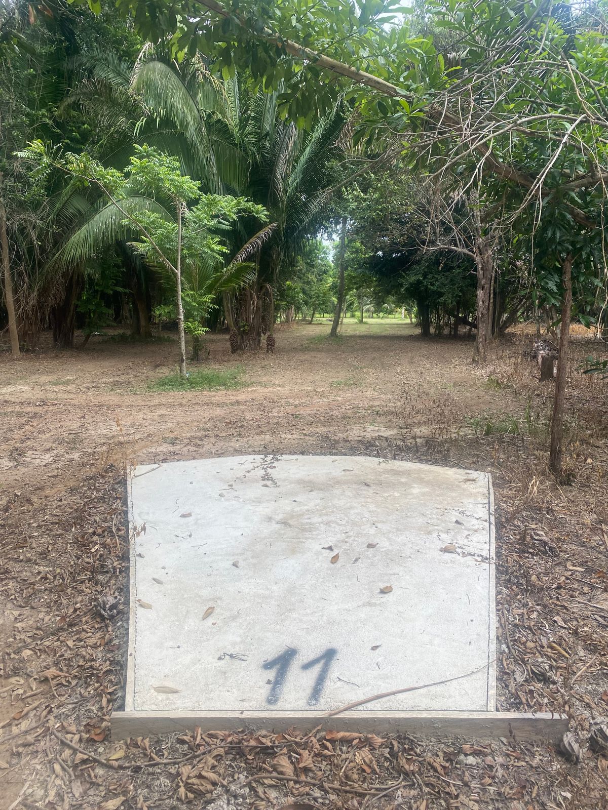 Hole 11