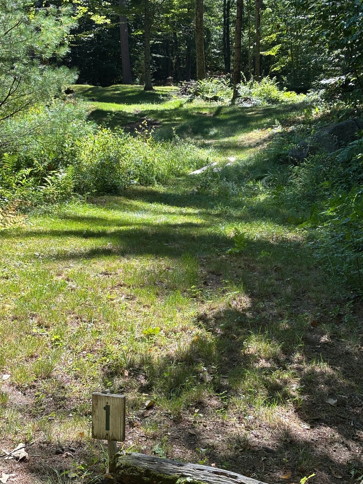 Well maintained