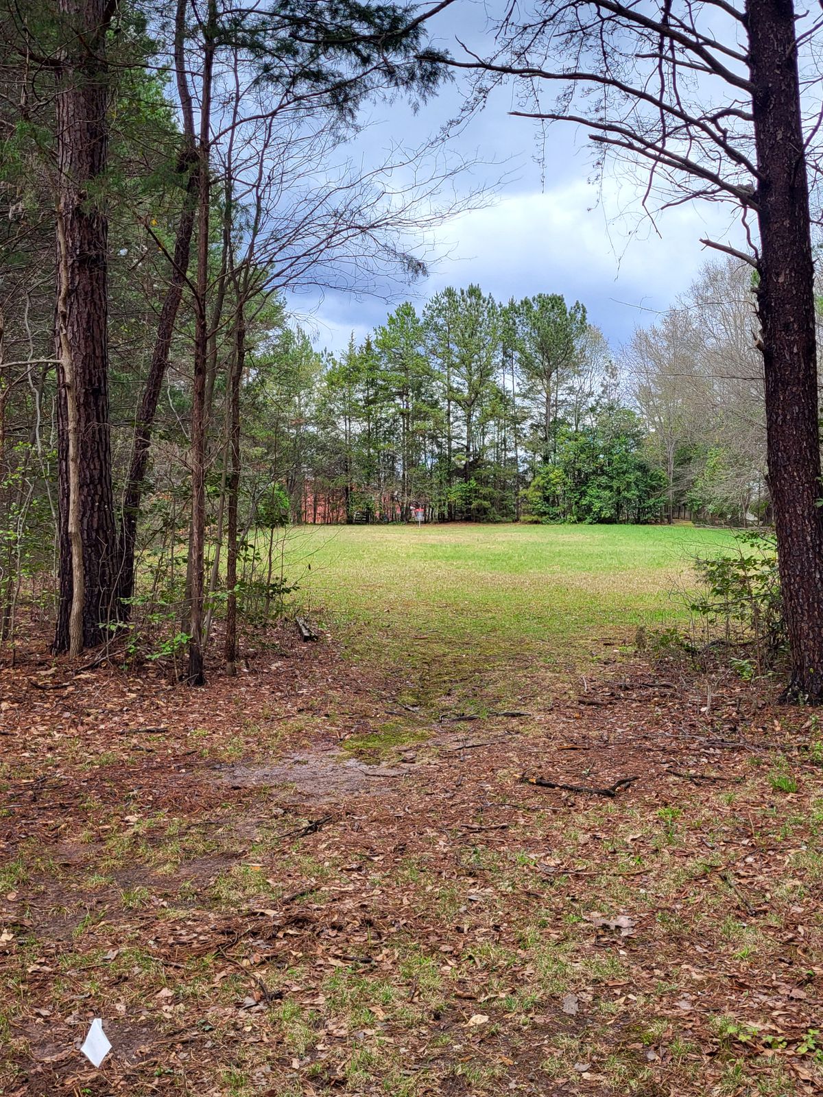 Hole 7