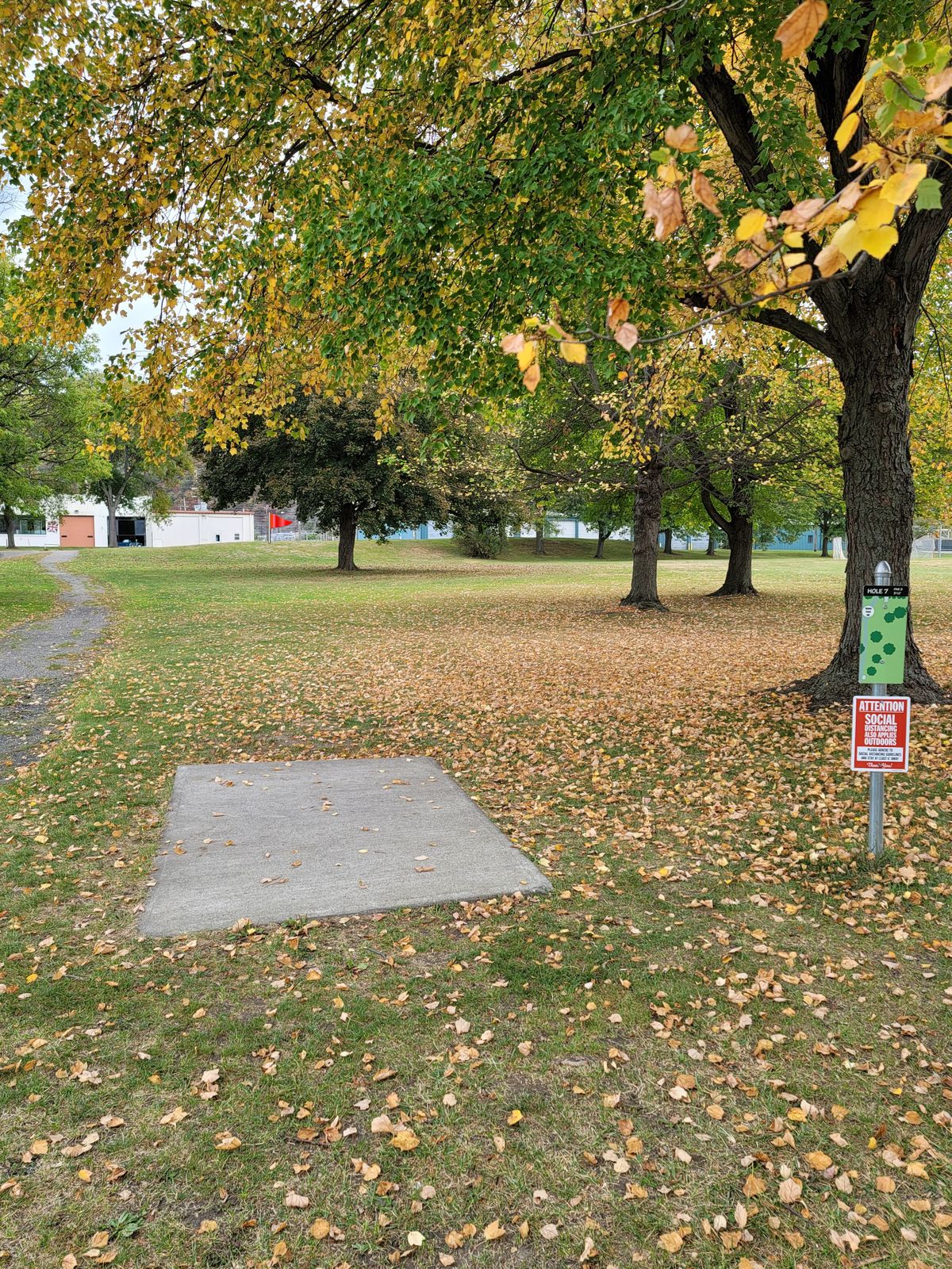 Teepad Hole 7