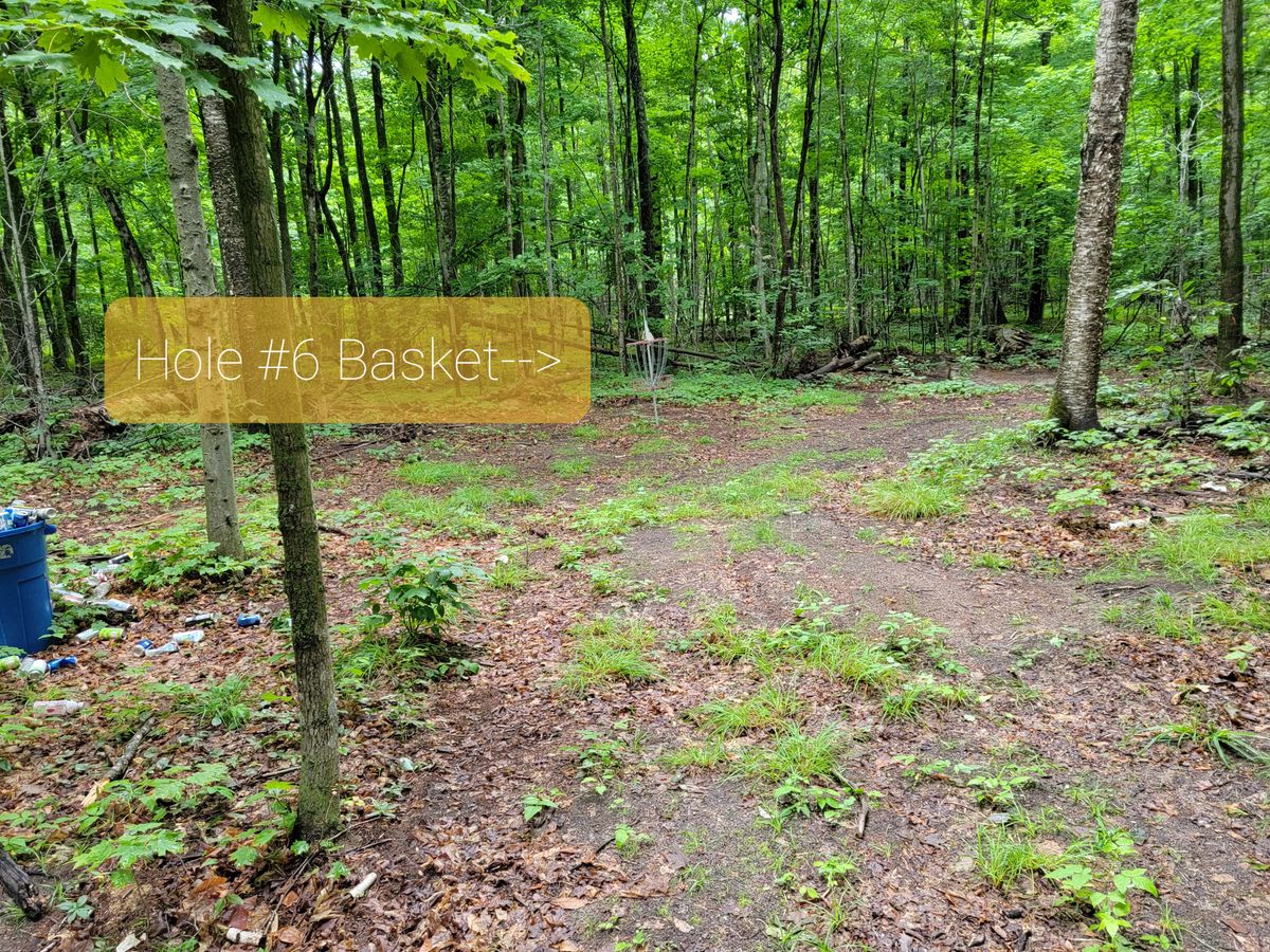 Hole 6 Basket