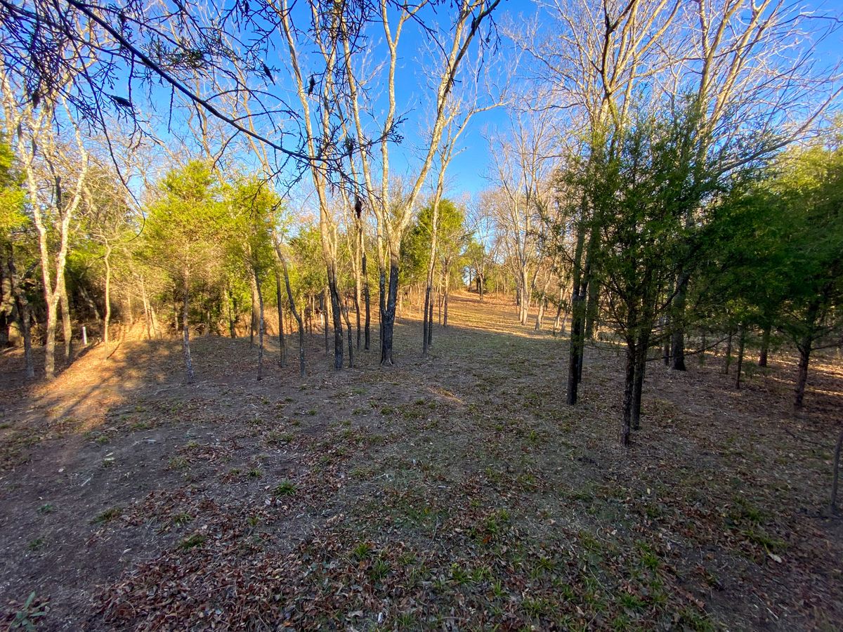 #3 Fairway looking back to Tee