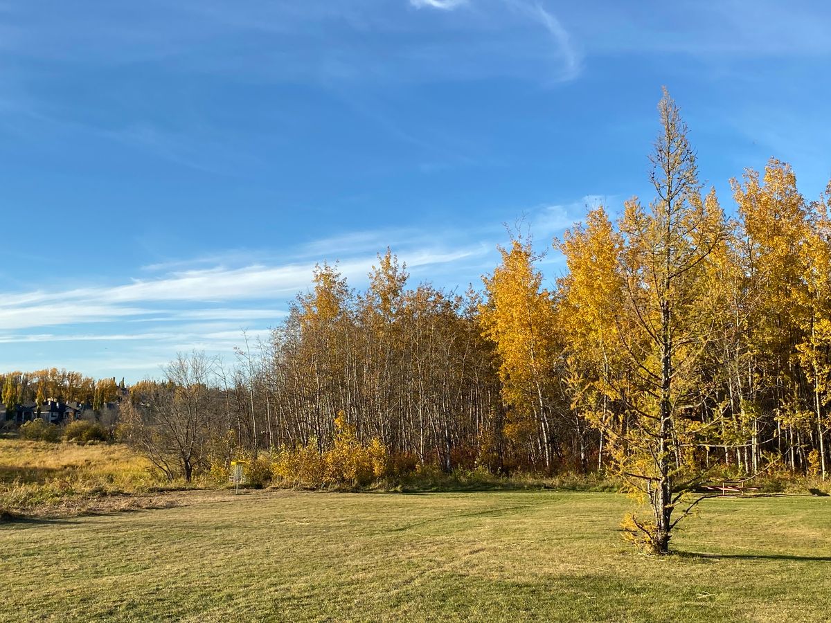 Hole 1, Fall 2023