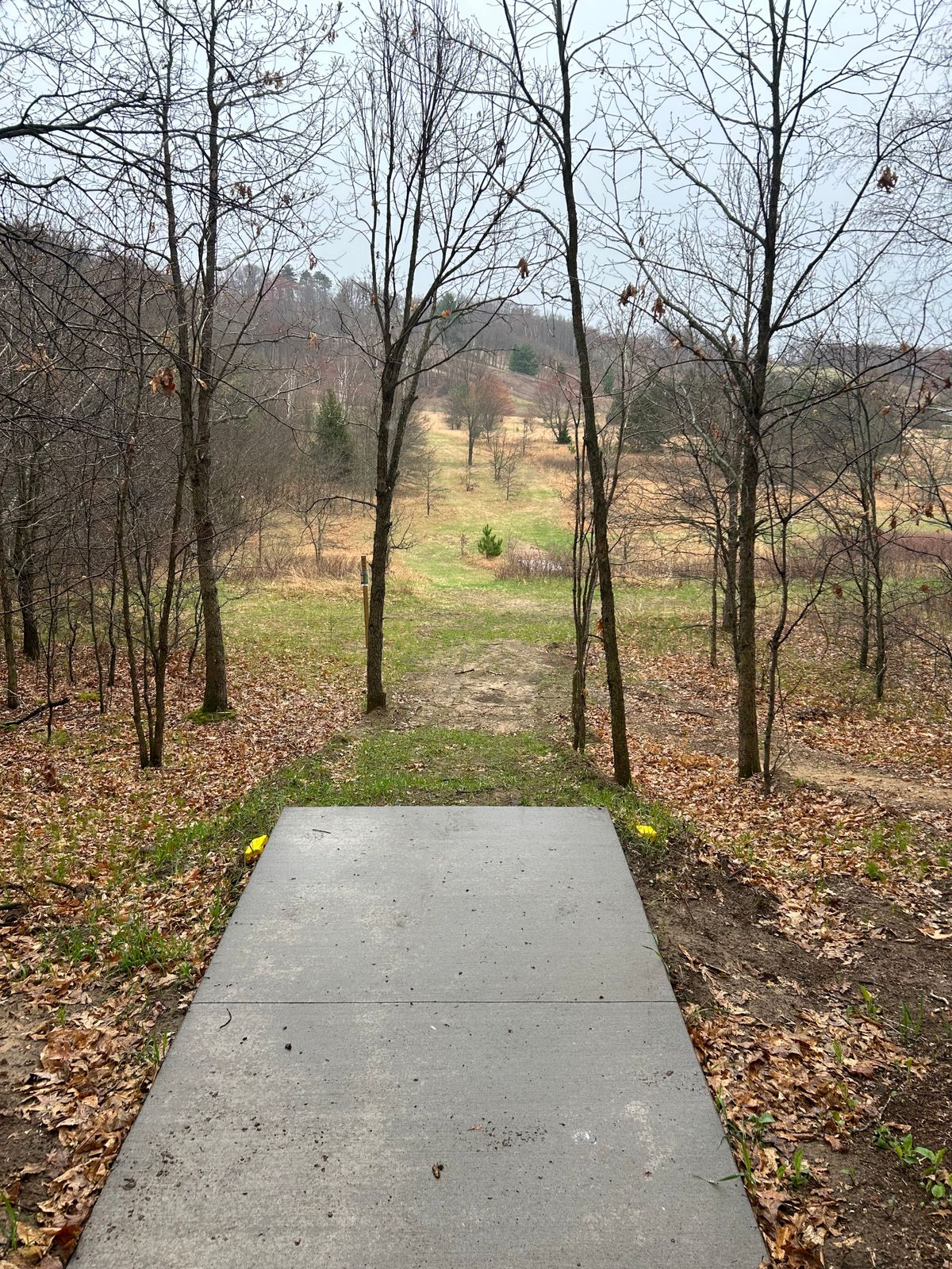Hole 17 teepad