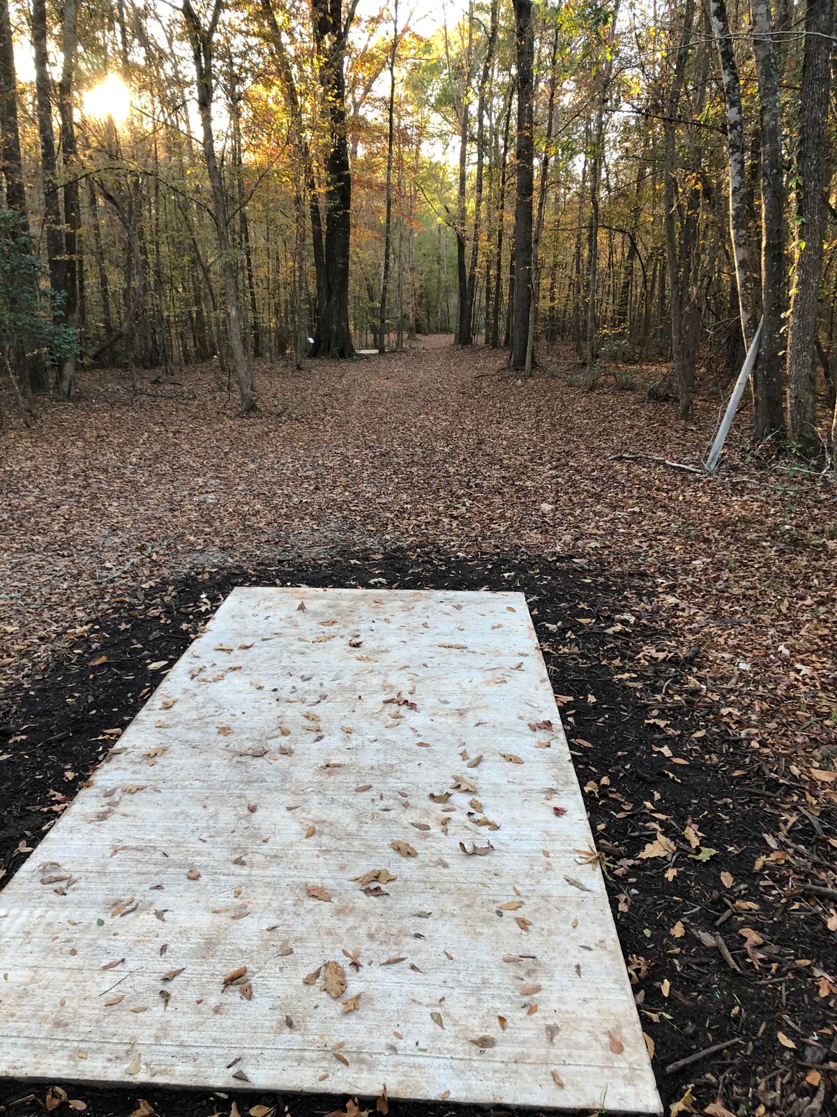 13 tee pad long