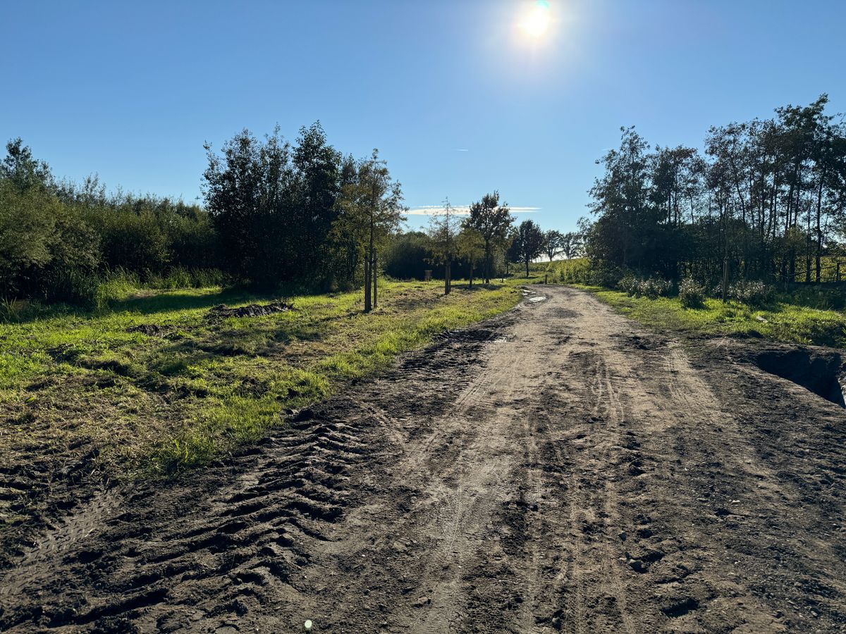 Hole 6 blue