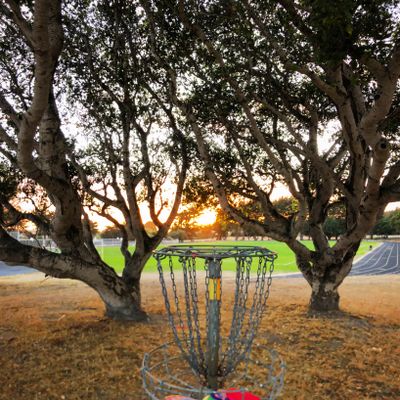 Hole 1’s basket.