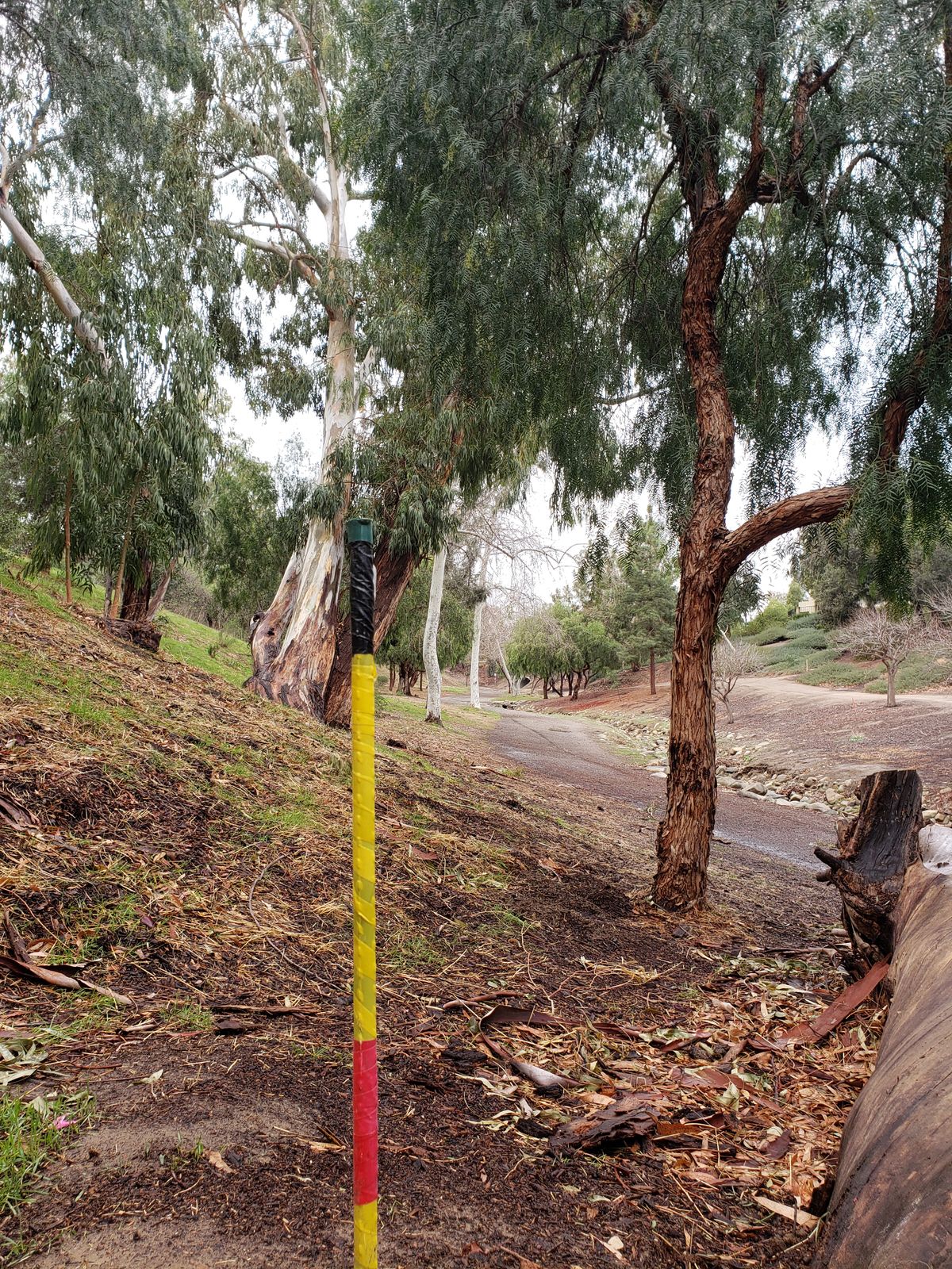 Object marker for hole #4.