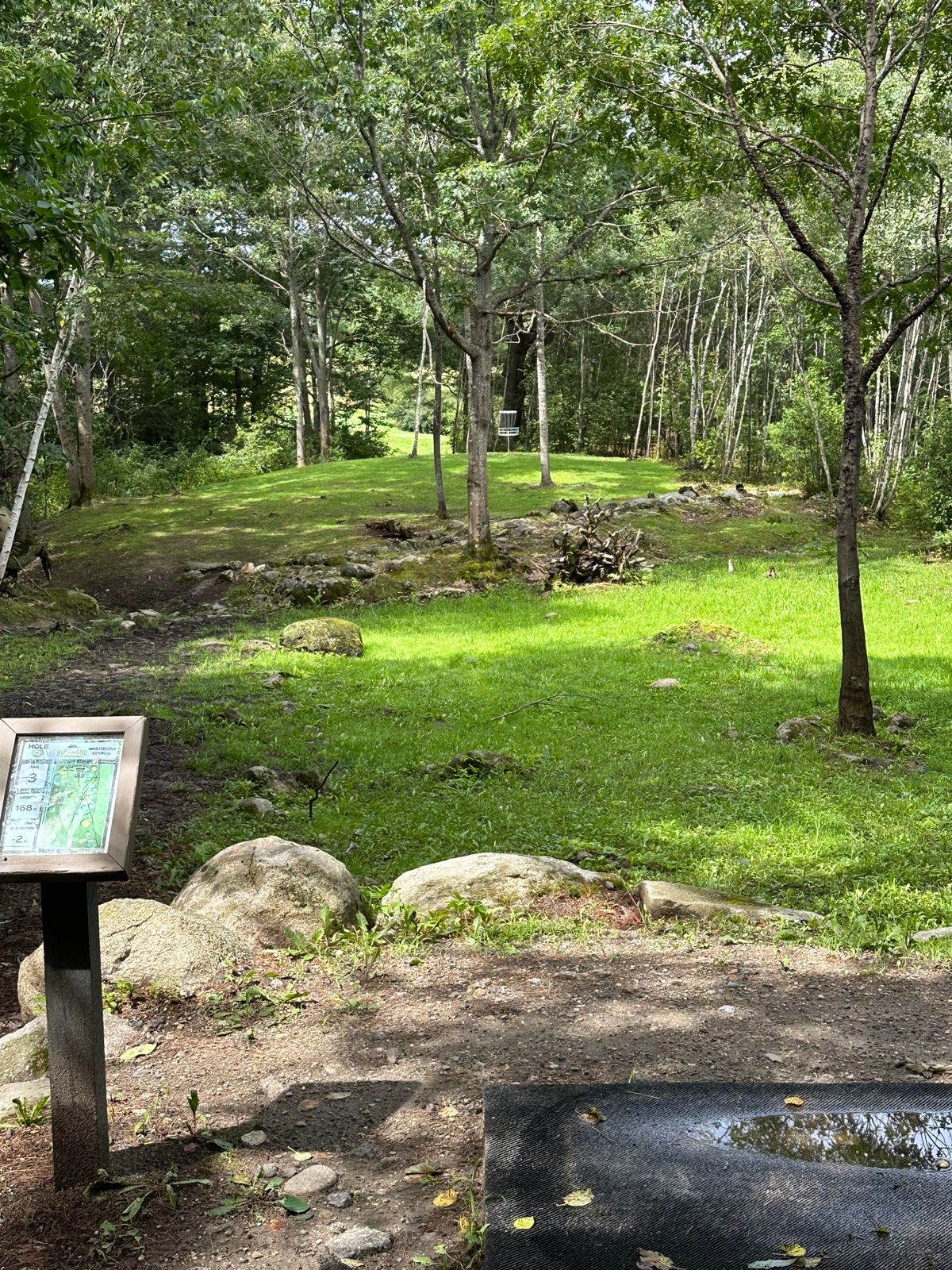 Hole 5