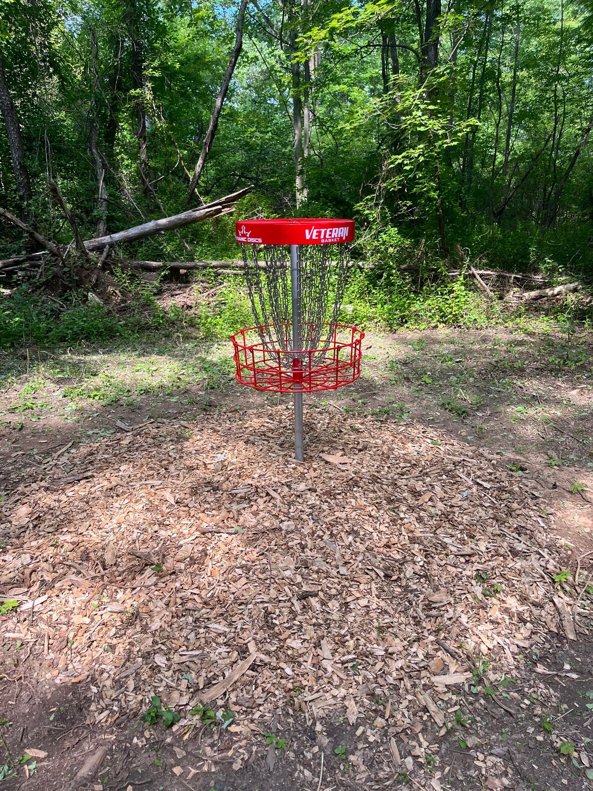 Hole #7 Basket