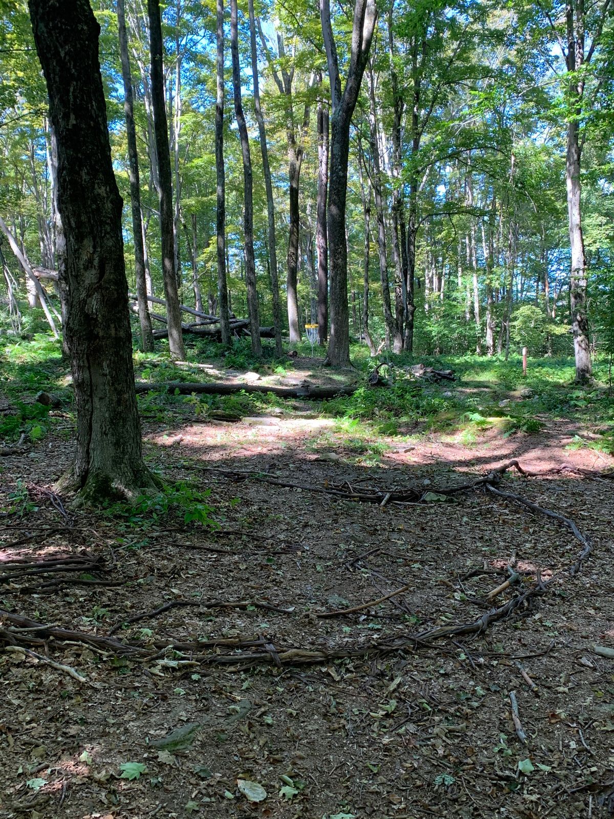 Fairway Hole 8