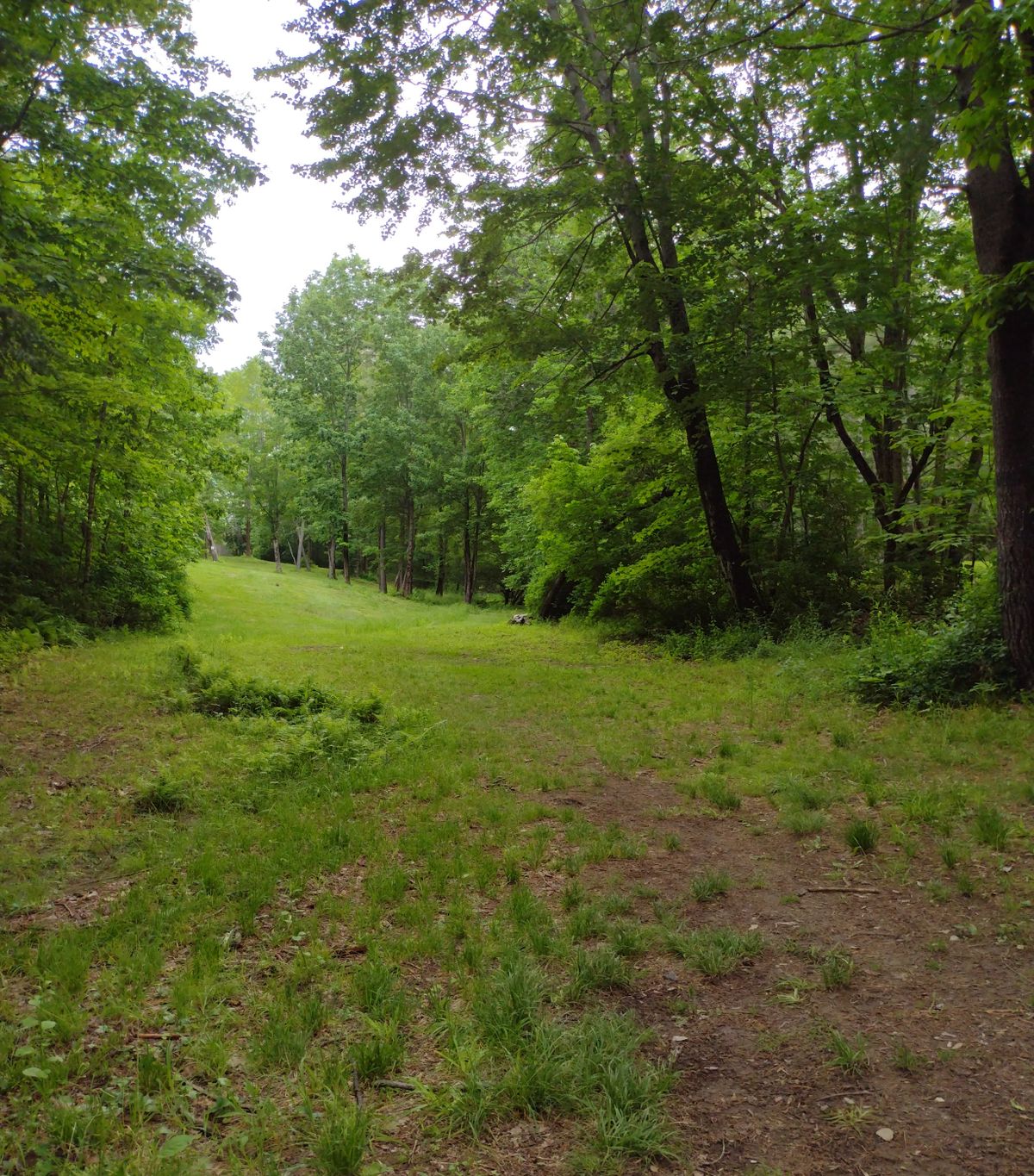Modified North Course, Hole 17 tee pad, June 2023