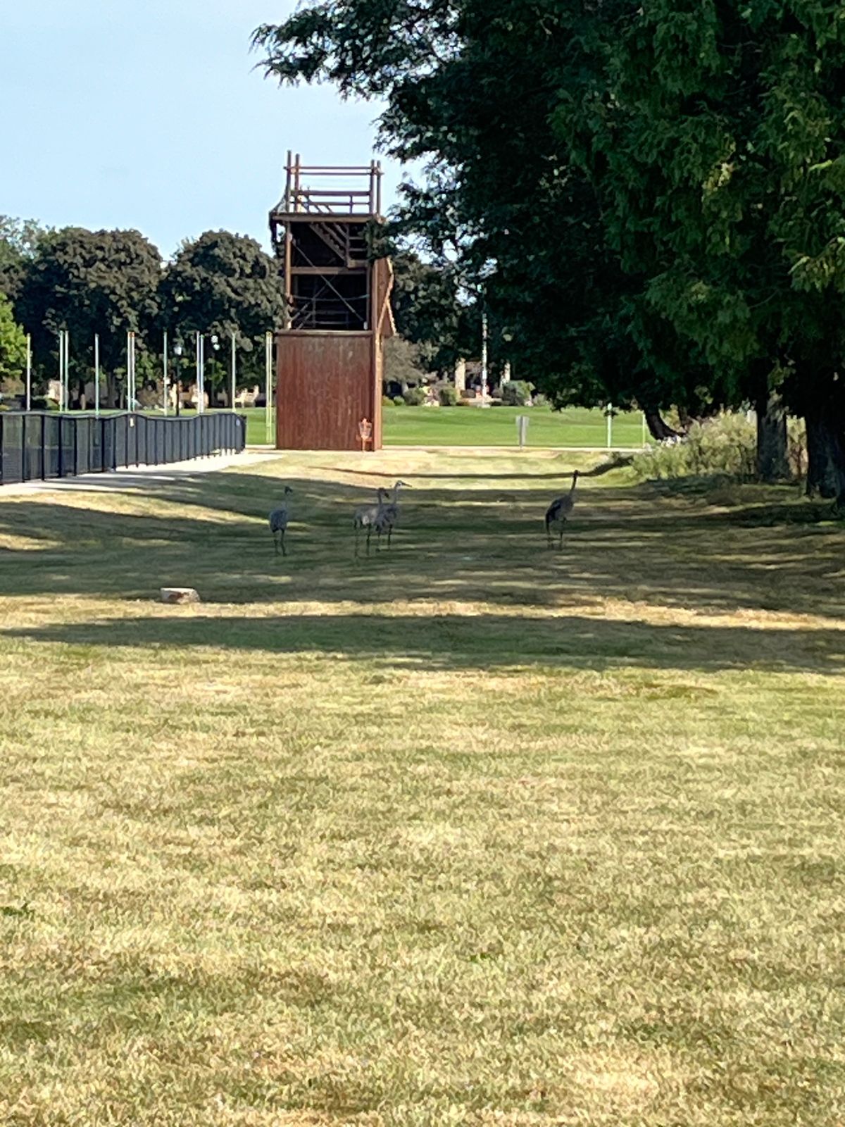 Military training grounds on the course