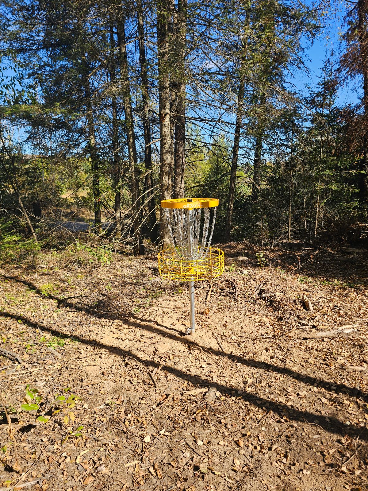 Hole 4