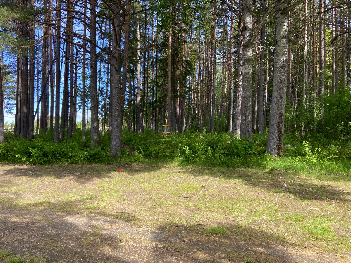 Hole 5