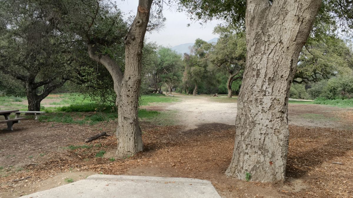 Hole 10