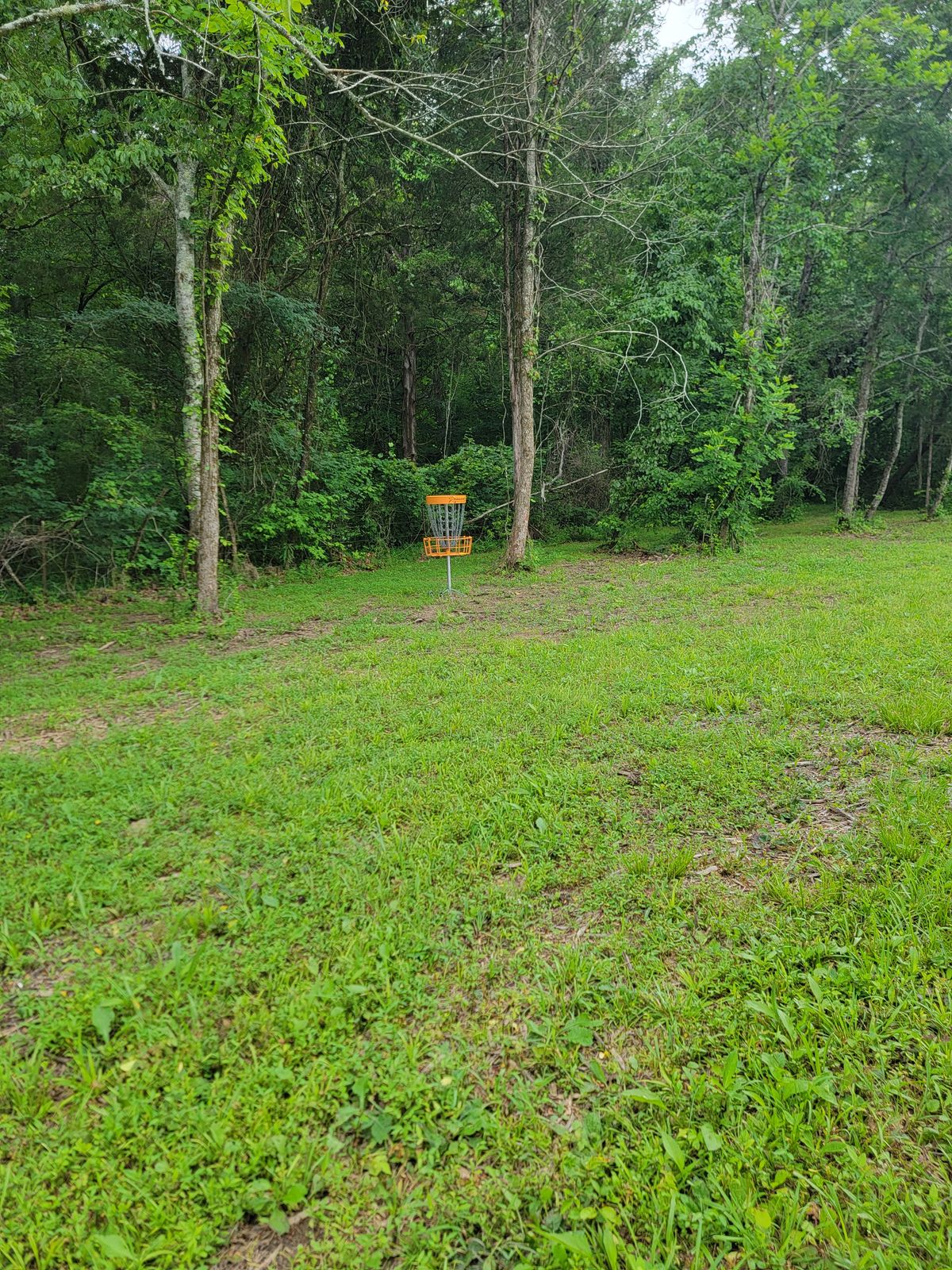 Hole 5 basket